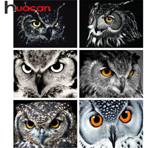 Huacan Diamond Mosaic Owl 5D DIY Diamond Painting Set For Embroidery Cross Animals Picture Of Rhinestones Home Decoration