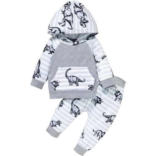2021-06-19 Lioraitiin 0-24M Infant Baby Boy Girl 2Pcs Outfit Cartoon Dinosaur Printing Long Sleeve Hooded Tops Striped Long Pant