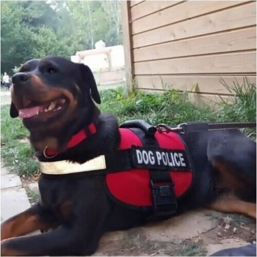 75x60 cm Large Breed Dog Dog Police Chest Collar 460760654
