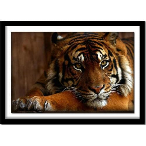 Diy Diamond Painting Animal tiger Full Square Rhinestones Cross Stitch Crystal Embroidery Home decorations gift BK63