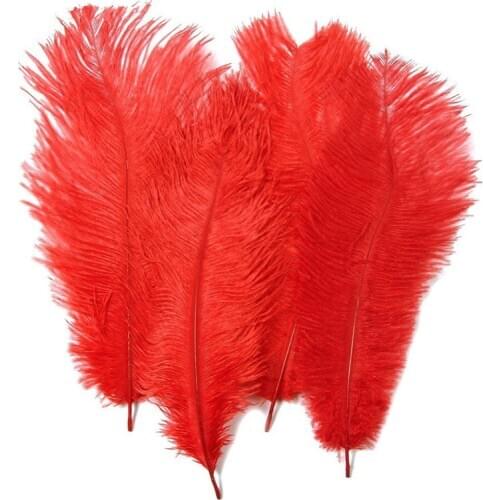 10Pcs/Lot Red Ostrich feathers for jewelry making 15-70cm/6-28" Ostrich Feather Ostrich Plumes Wedding Feathers Decoration plume
