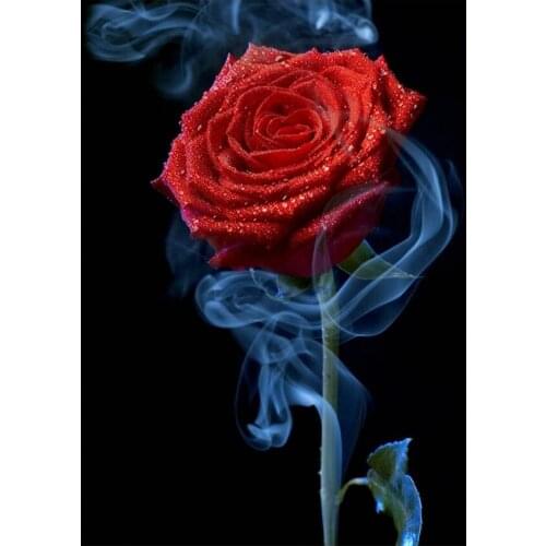 Diamond painting kit, 5D embroidery painting kit for gem cross stitch crafts, flower mosaic, 3D, gift with round diamond