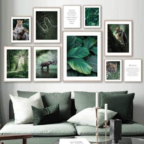 Banyan Monstera Elephant Leopard Forest Wall Art Canvas Painting Nordic Posters And Prints Wall Pictures For Living Room Decor