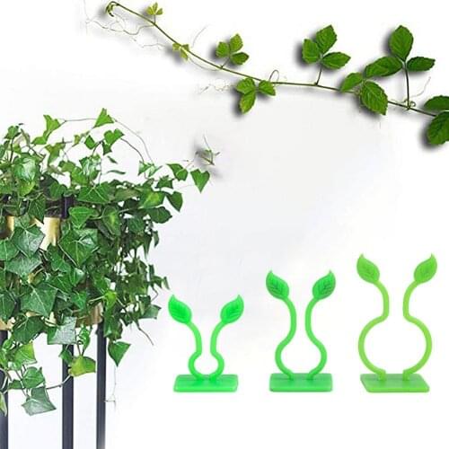 100pcs Invisible Wall Vines Fixture Wall Sticky Hook Climbing Vine Plant Fixer Home Balcony Garden Decoration Holder
