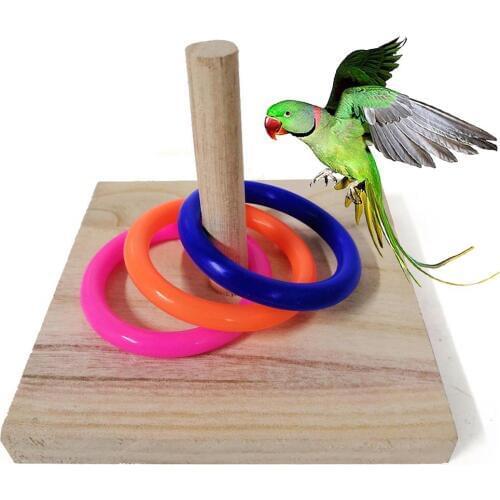 Pet Bird Parrot Wooden Board Plastic Ring Training Loop Educational Chew Toy