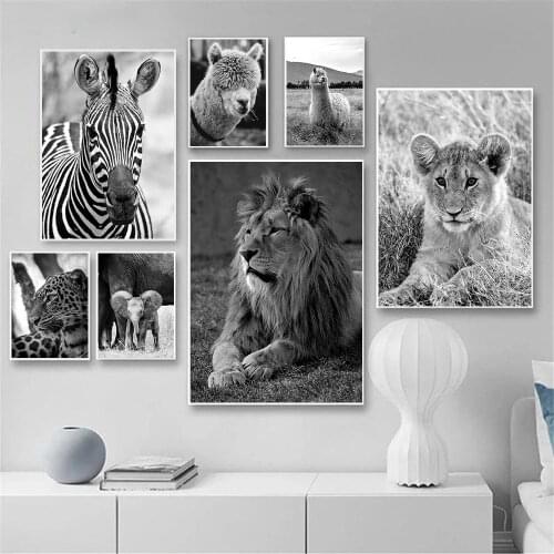 African Wild Lion Zebra Elephant Canvas Print Painting Black And White Animal Poster Alpaca Wall Art Pictures Nordic Home Decor