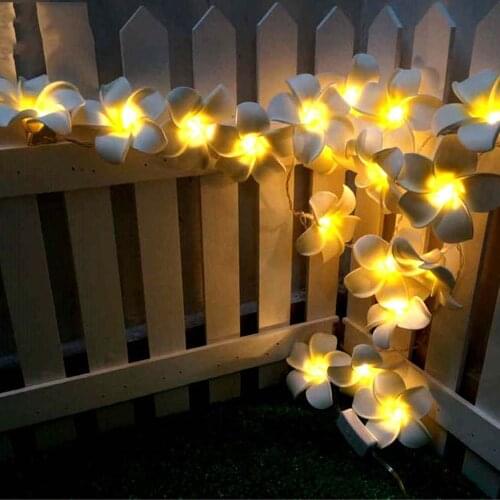 Fantasee Street Lighting