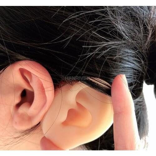 Ear Model Ear Acupuncture Model Ear 1:1 Life Size For Ear Acupuncture Press Needle