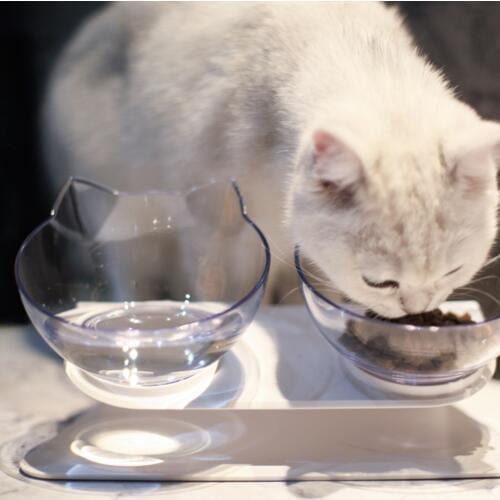 Explosive Cat Double Bowl Cat Bowl Dog Bowl Transparent AS Material Non-slip Food Bowl With Protection Cervical Transparent Cat