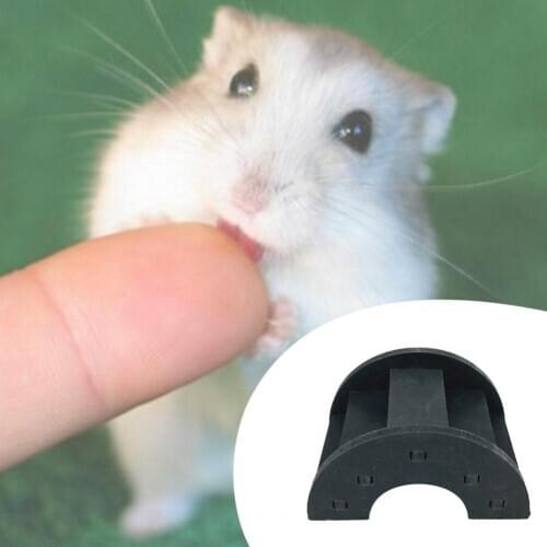 Colorful Wooden Eco-friendly Toy Small Chinchilla Hamster Rainbow Bridge Small Waterproof PVC Climbing Playing Toy Ladder Bridge