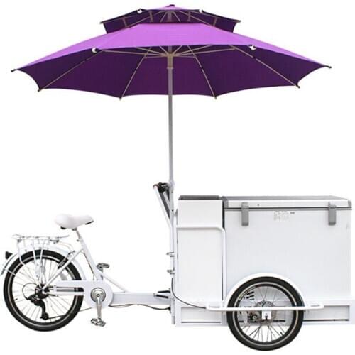 Fashion Electric Adult Tricycle Front Load Ice Cream Cargo Bike With High Quality Freezer for Sale Wholesale Price