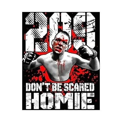Lot style Choose Nate Diaz 209 Art print Silk poster Home Wall Decor