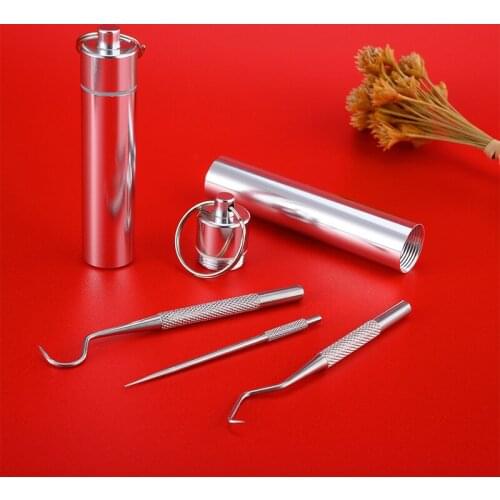 304 Stainless Steel Toothpick Picking Set Keychain Portable Key Ring Outdoor Set Tooth Cleaner Tooth Hook Tool Accessories