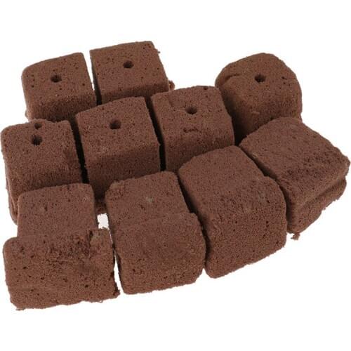 10pcs Grow Plug Soilless Cultivation Rose Plants Cuttings, Clones, Nursery Substrate Blocks Flower Mud Grow Starter Cubes