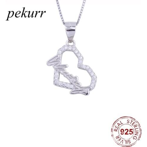 Pekurr 925 Sterling Silver Zircon Hollow Heart Wanting Letter Necklace For Women Wanting Love Crystal Pendants Fashion Jewelry