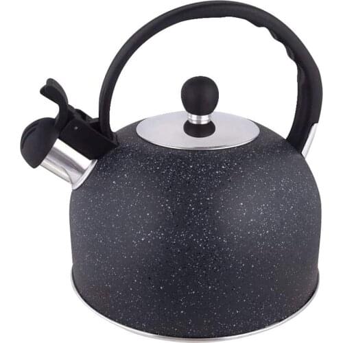 Whistling Tea Kettle, Teapot with Loudd Whistle and Anit-Hot Handle, Food Grade Stainless Steel Water Kettel for Home