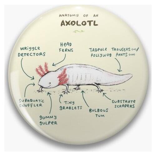 Anatomy Of An Axolotl 【Customizable】Soft Button Pin Cute Collar Metal Creative Lover Lapel Pin Funny Women Badge Jewelry Hat