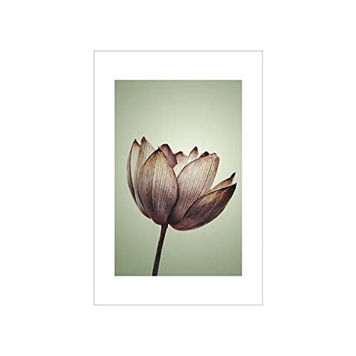 Настенные картины XIAOLANG China At AliExpress