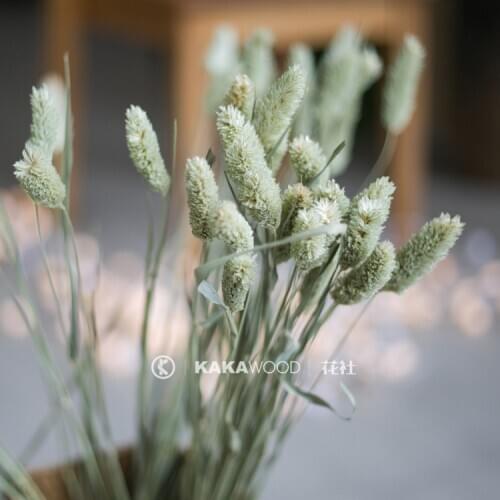 Dry Flower Hay Art Flower Arrangement Dry Natural Plant Original Ecological Decorative Grass Plain and Elegant Light Blue Green