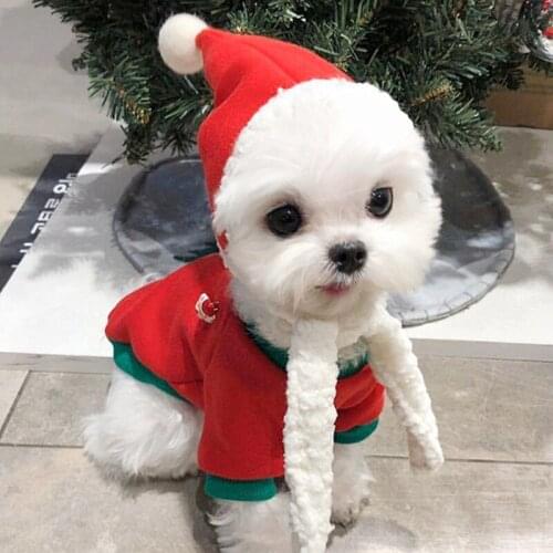 Autumn and Winter Pet Christmas Clothes Dog Lovers Sweater Teddy Pullover Two-legged Cat and Puppy Warm Clothes