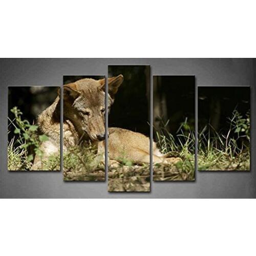 Home Decor 5 Panels Wolf Sitting In The Grass Under The Sun Painting Print On Canvas Animal Picture Modern Spray Painting