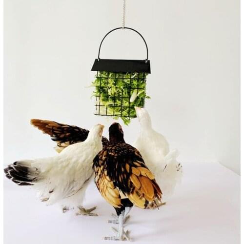 Chicken Feeder Basket Chicks Foraging Toy Metal Hanging Birdfeeders Bird Feeding Device for Small Parakeets Cockatiels