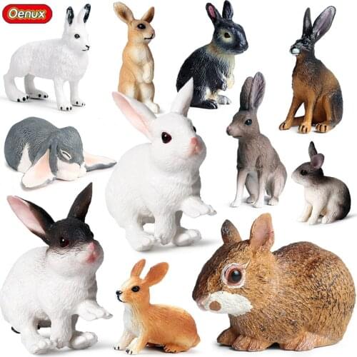 Oenux Lovely Farm Rabbit Bunny Model Action Figure Figurine Wild Desert Cottontail Hare Cute PVC Decoration Education Kid Toy
