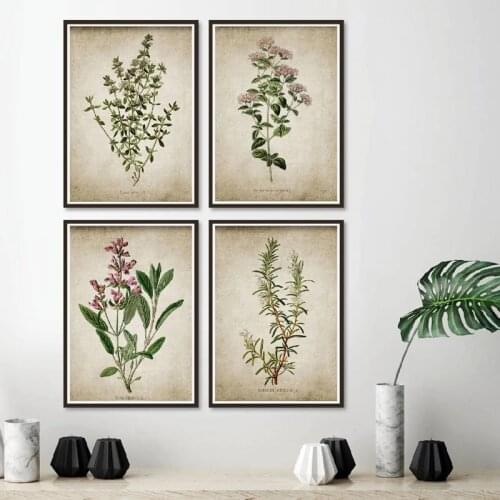 Vintage Poster Herb Art Prints Oregano Rosemary Sage Thyme Painting Rustic Art Wall Picture Farmhouse Retro Wall Decor