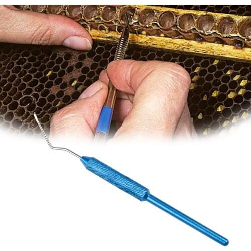 Larva Grafting Needle Tools Honey Bee Queen Larvae Moving Rearing System Goods Tools For Beekeeper Supplies