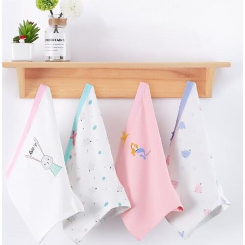 Pteromys Underwear For Girls