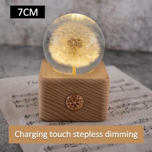2021 Gift 65/75mm Real Dandelion Flower Crystal Glass Resin Lens Ball with stand or LED stand