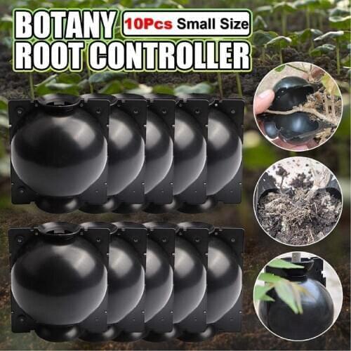 10pcs 5CM Plant Rooting Device Propagation Ball Reusable Grafting Cube Breeding Box Seeding Hydroponic Media Drop Shipping