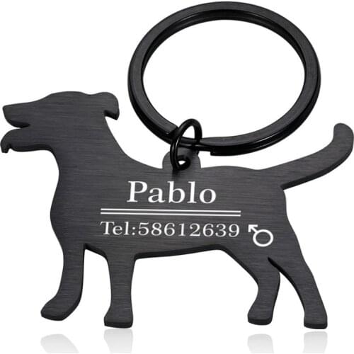 Personalized Pet ID Tag Keyring for Cat Dog Collar Accessories Custom Engraved Necklace Keychain Charm Supplies for Dog