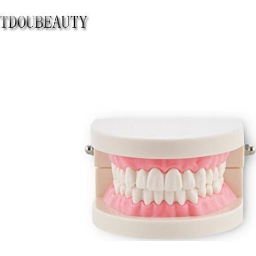 TDOUBEAUTY Dental Teach Study Adult Standard Typodont Demonstration Teeth Model Flesh Pink Free Shipping