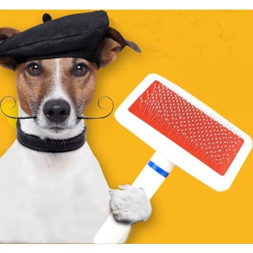 Practical Pet Dog Hair Brush Comb Plastic Handle Brush Airbag Stainless Steel Pin Comb For Small Dog Cats Pet Grooming Tool