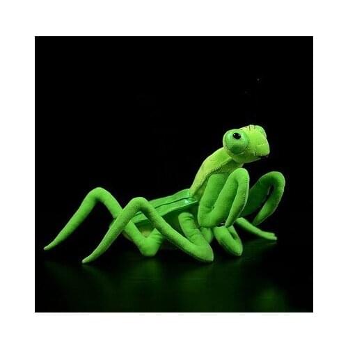 New Arrival 30cm Simulated The Chinese Mantid Plush Stuffed Soft Toy for Children Birthday Animal Gift