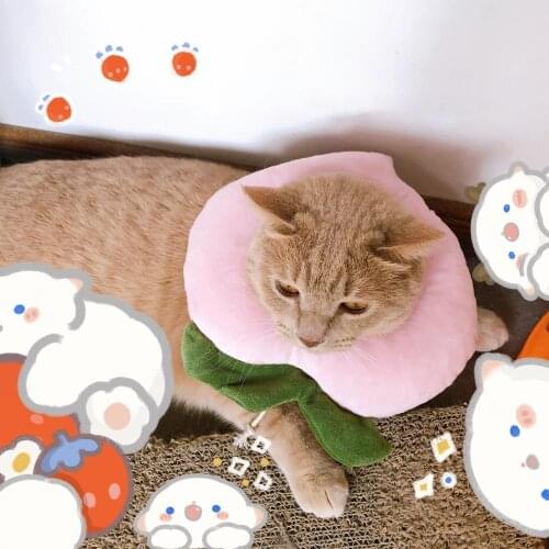 Cat Adjustable Collar Anti Licking Biting Fruit Pattern Pet Sterilization Circle