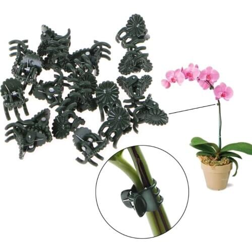 20 Pcs Plastic Plant Fix Clips Orchid Stem Vine Support Vegetables Farm Flowers Fruit Tied Bundle Branch Clamping Gardening