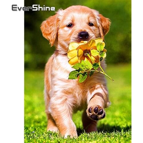 Evershine Diamond Embroidery Sale Animals Cross Stitch Kits Diamond Painting Full Drill Square Dog Rhinestones Pictures Beadwork