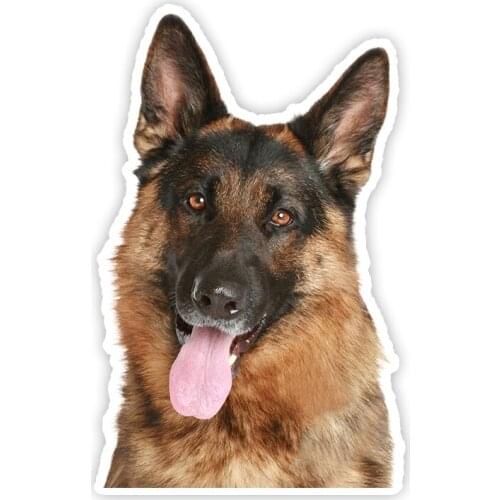 B0638# Self-adhesive Decal Овчарка Car Sticker Waterproof Auto Decors on Bumper Rear Window Motorcycle Laptop Helmet