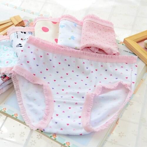 Calcinha Infantil 2pcs/lot 2019 Fashion New Baby Girls Underwear Cotton Panties Cartoon Kids Short Briefs Children Underpants