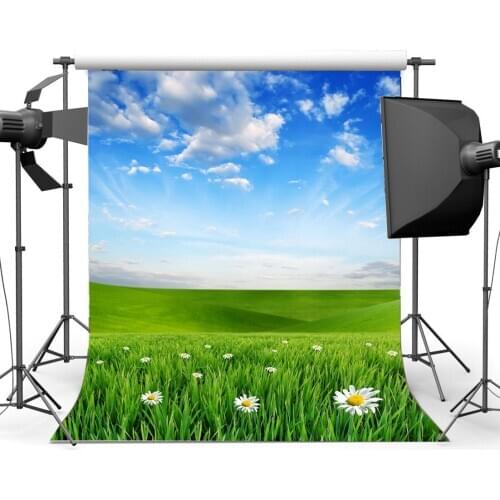 Spring Backdrop Nature Blue Sky White Cloud Fresh White Flowers Green Grass Meadow Photography Background