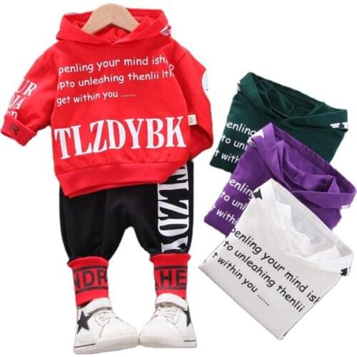 Children Clothing Sports Suit For Boys And Girls Hooded Outwears Long Sleeve Boys Clothing Set Casual Tracksuit