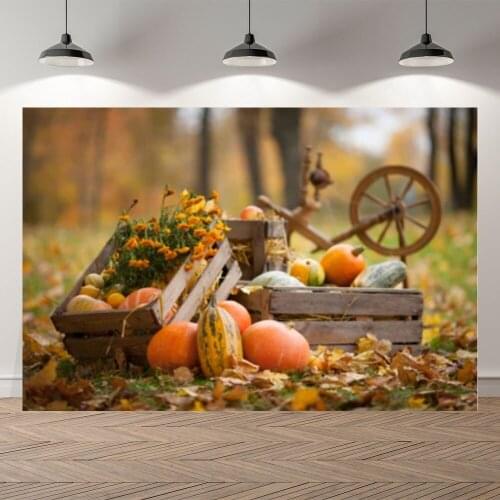 Seekpro Autumn Harvest Pumpkin Photography Background Photographic Backdrop Gardening Scenery Children For Photo Studio Shoot