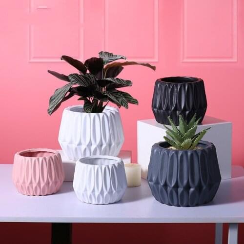 Simple And Creative Multi Meat Ceramic Flowerpot Green Rose Bonsai European Style Small Flowerpot Ceramic Ornaments Modern