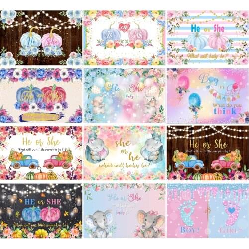 Cartoon Elephant He or She Backdrops Photography Baptism My First Communication Birthday Party Banner Studio Photo Backgrounds