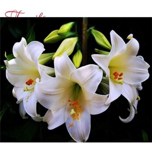 Needlework diamond painting cross stitch 3d diamond embroidery flowers lily pattern Kits for embroidery hobbies and crafts