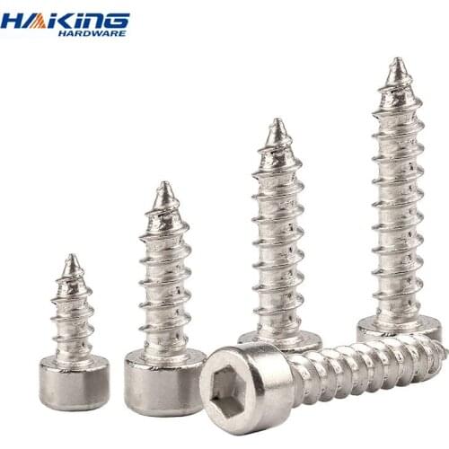20/55pcs M2 M2.5 M3 M4 M5 M6 Hexagon Hex Socket Cap Head Self Tapping Screw 304 Stainless Steel Allen Head Screw for Speaker