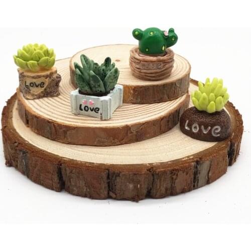 4pcs Succulents Flower Plants Mini Bonsai Miniature Fairy Garden Home Decoration Craft Micro Landscaping Decor DIY Accessories
