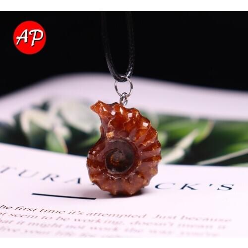 1pc Natural Crystal Conch Snail Fossil Pendant Quartz Necklace Rough Stone Polished Spiral Ammolite Palms Stone Collection Gift